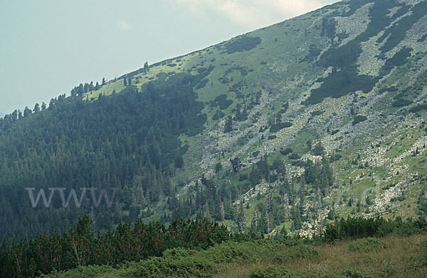 Rumänien (Romania)