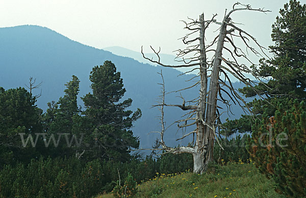 Rumänien (Romania)