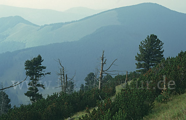 Rumänien (Romania)