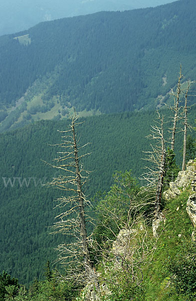 Rumänien (Romania)