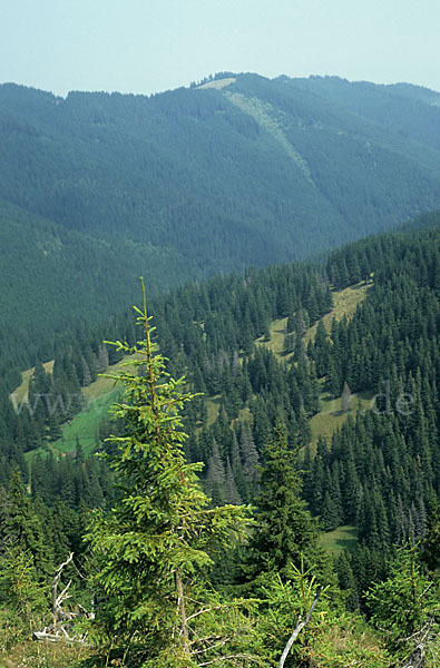 Rumänien (Romania)