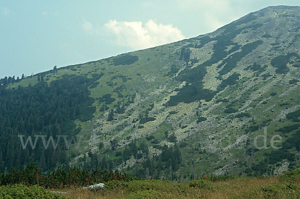 Rumänien (Romania)