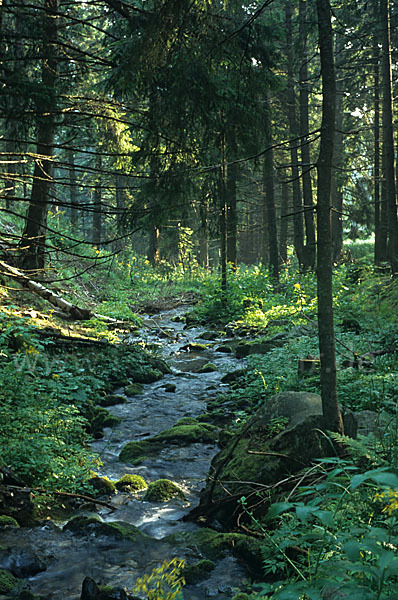 Rumänien (Romania)