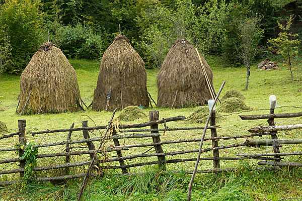 Rumänien (Romania)