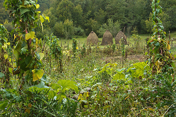 Rumänien (Romania)