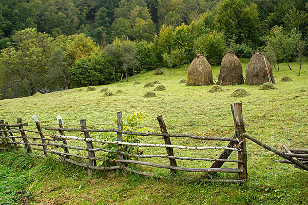 Rumänien (Romania)