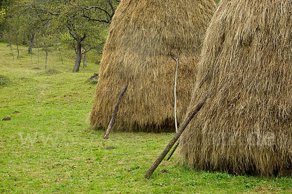 Rumänien (Romania)