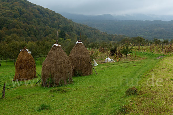 Rumänien (Romania)