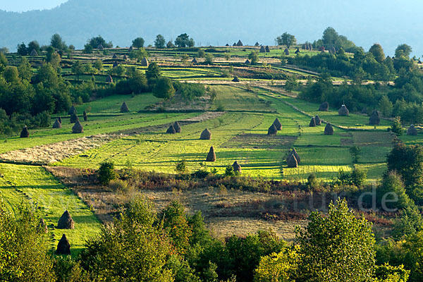 Rumänien (Romania)