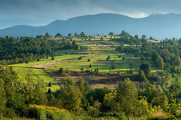 Rumänien (Romania)