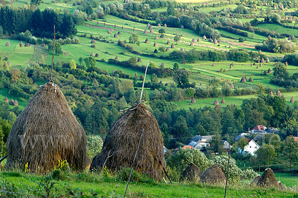 Rumänien (Romania)