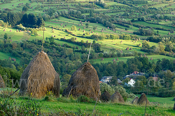 Rumänien (Romania)