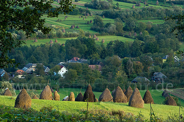 Rumänien (Romania)