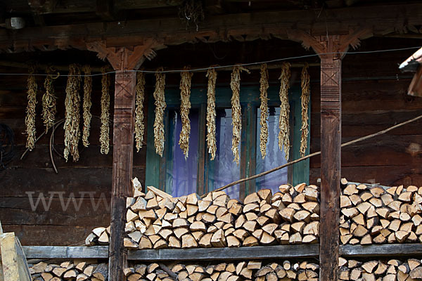 Rumänien (Romania)
