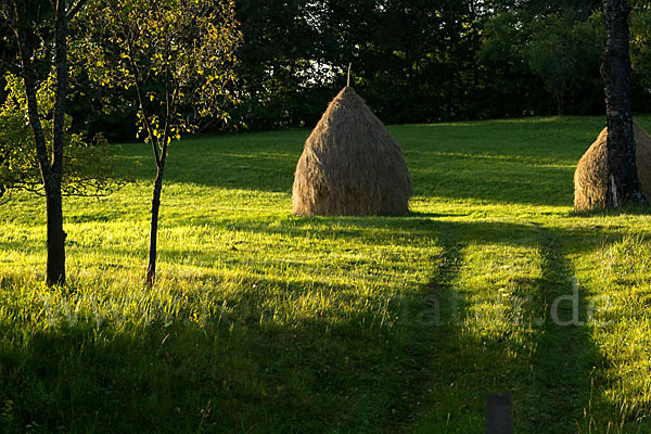 Rumänien (Romania)