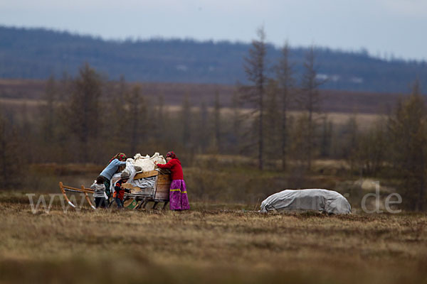 Russland (Russia)