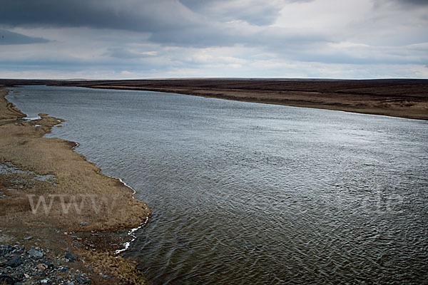 Russland (Russia)