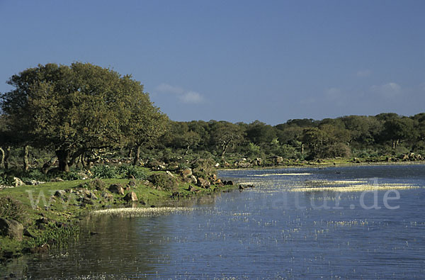 Sardinien (Sardinien)