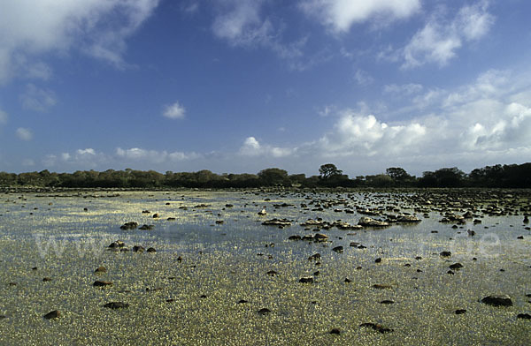 Sardinien (Sardinien)