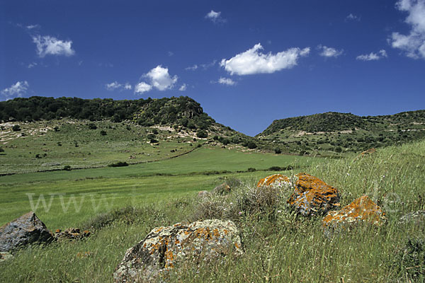 Sardinien (Sardinien)