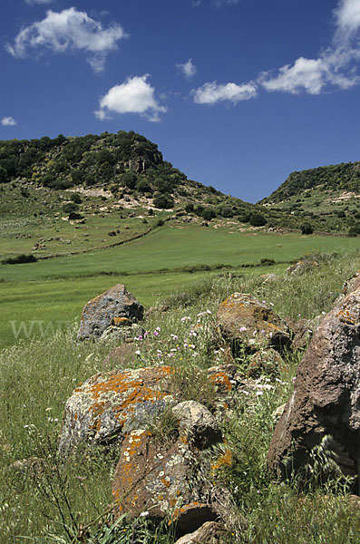 Sardinien (Sardinien)