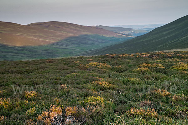 Schottland (Scotland)