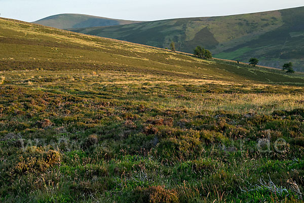 Schottland (Scotland)