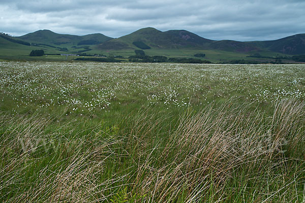 Schottland (Scotland)