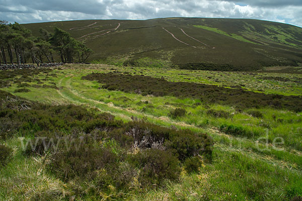 Schottland (Scotland)