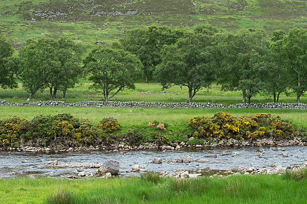 Schottland (Scotland)