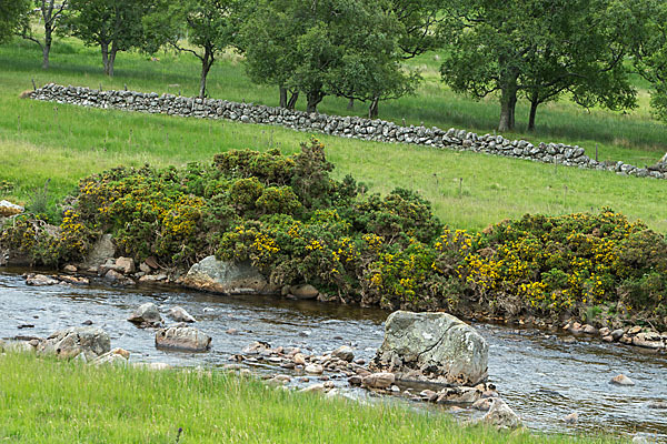 Schottland (Scotland)