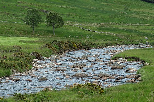 Schottland (Scotland)