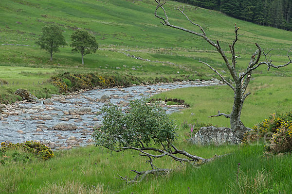 Schottland (Scotland)