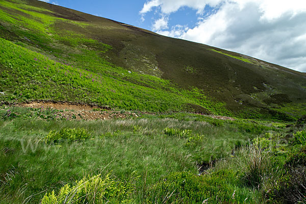 Schottland (Scotland)