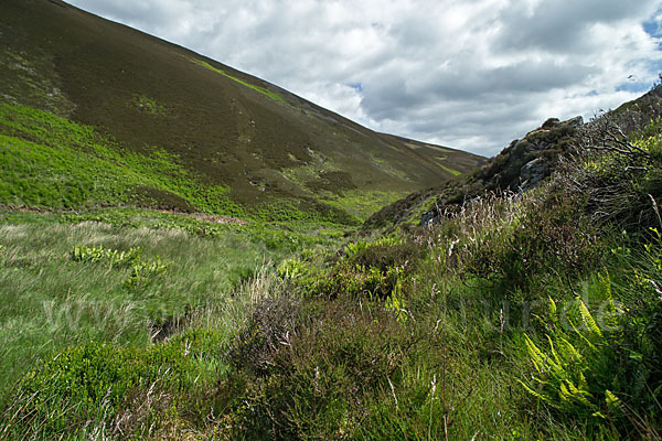 Schottland (Scotland)