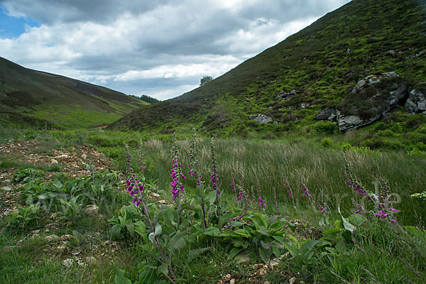 Schottland (Scotland)