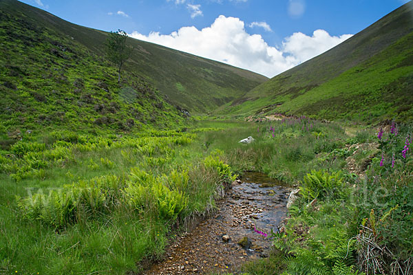 Schottland (Scotland)