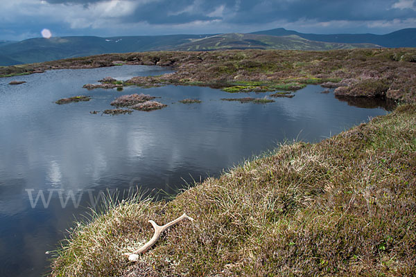 Schottland (Scotland)