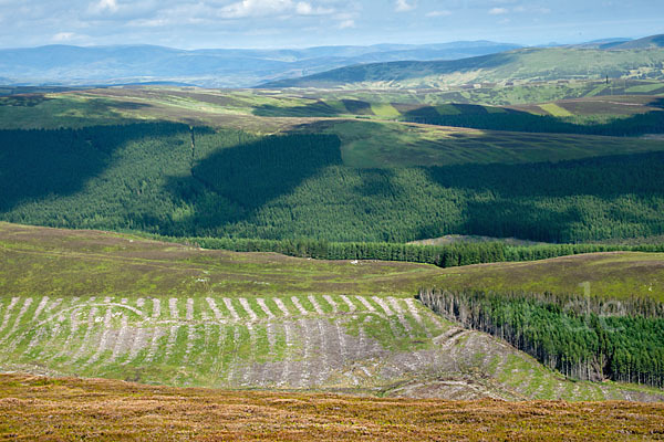 Schottland (Scotland)