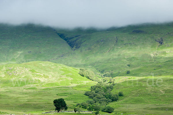 Schottland (Scotland)