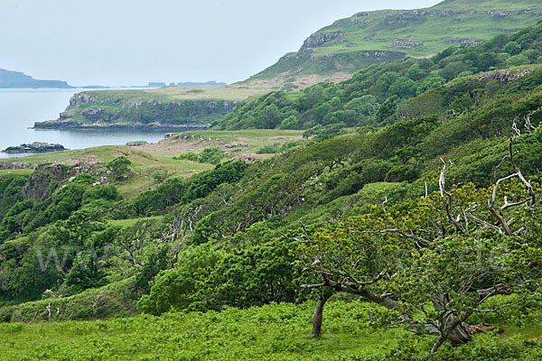 Schottland (Scotland)