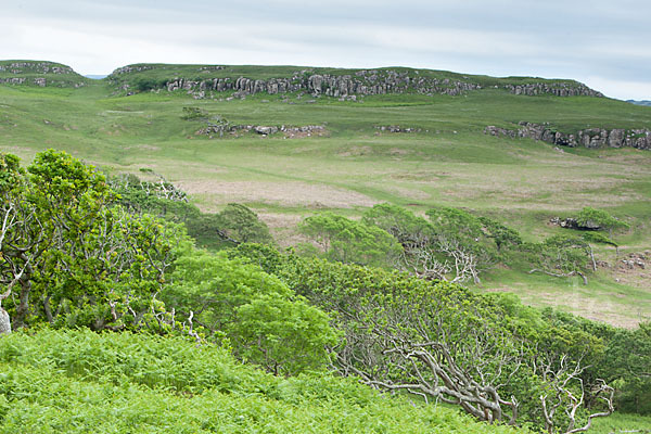 Schottland (Scotland)