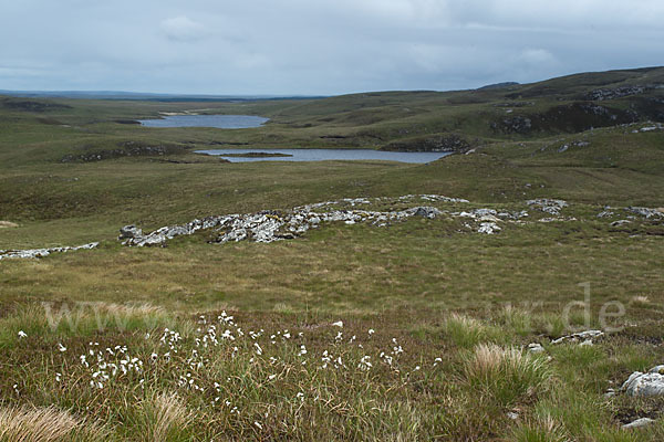 Schottland (Scotland)