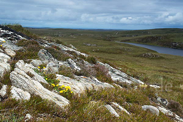 Schottland (Scotland)