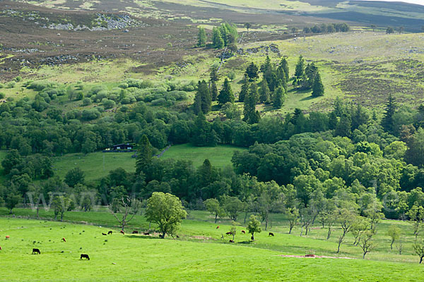 Schottland (Scotland)