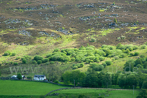 Schottland (Scotland)