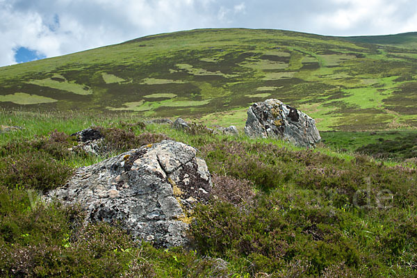 Schottland (Scotland)