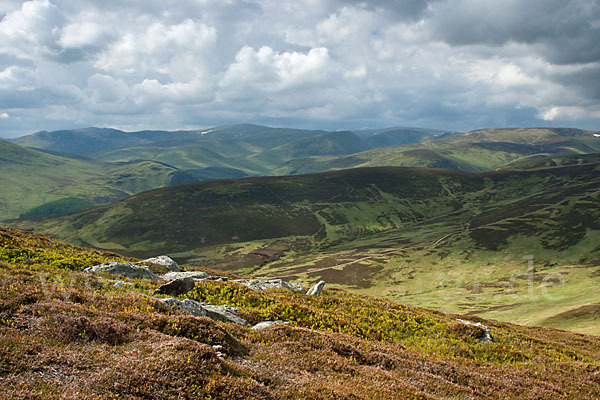 Schottland (Scotland)