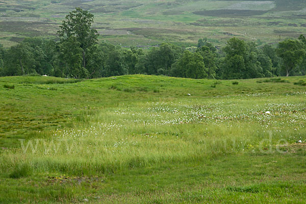 Schottland (Scotland)