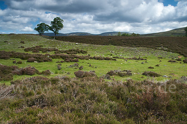 Schottland (Scotland)